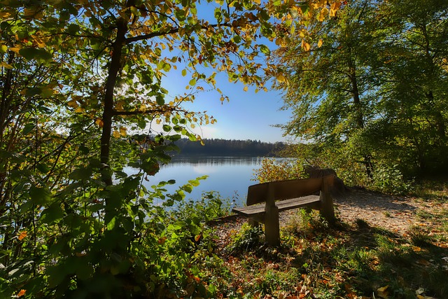 让原本即将 让原本即将