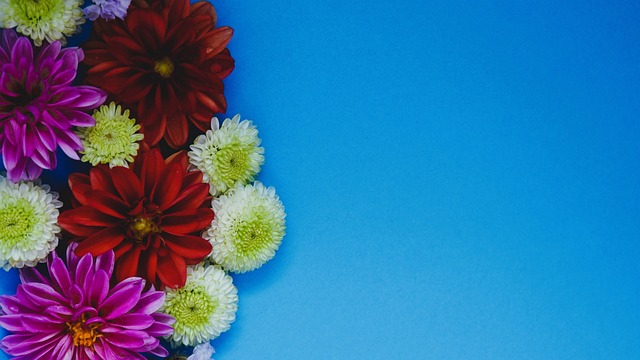 蒂姆成为赛 蒂姆成为赛