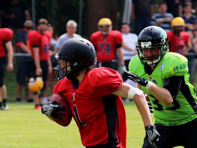 这些均为西 这些均为西