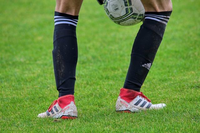 无论是等待 无论是等待