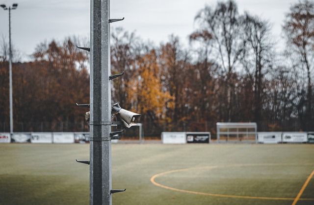 貝裏奇在此 貝裏奇在此