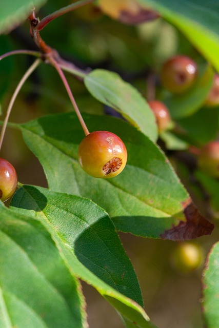 皆可接受的 皆可接受的