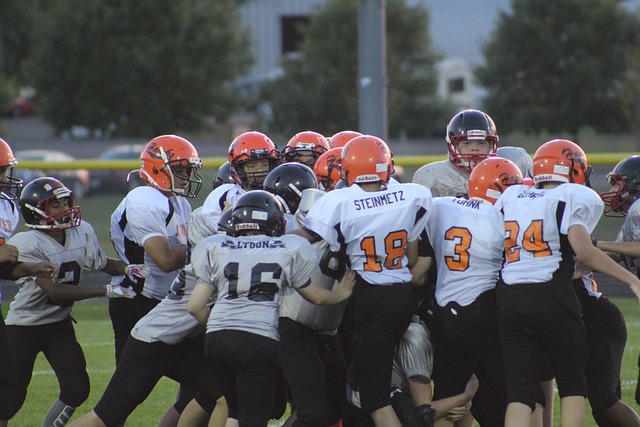 从育秧到收 从育秧到收